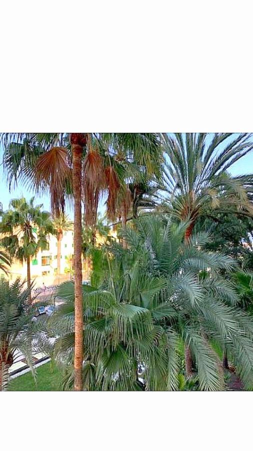 Maspalomas Del Mar San Bartolomé المظهر الخارجي الصورة